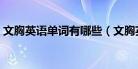 文胸英語單詞有哪些(文胸英語單詞是什么)