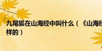 九尾狐在山海經中叫什么(《山海經》中九尾狐的傳說是怎樣的)