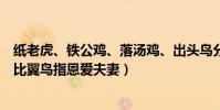 紙老虎、鐵公雞、落湯雞、出頭鳥分別比喻哪一種人(例如比翼鳥指恩愛夫妻)