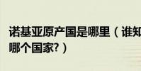 諾基亞原產國是哪里(誰知道諾基亞原產地是哪個國家?)