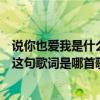 說你也愛我是什么歌的歌詞（說愛我說愛我難道你不在愛我這句歌詞是哪首歌的）