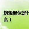 蜿蜒起伏是什么意思啊（迤邐起伏的意思是什么）