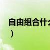 自由組合什么意思（自由人組合的詳細資料?）