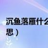 沉魚落雁什么意思打一生肖（沉魚落雁什么意思）