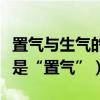置氣與生氣的區別（生氣的意思是“致氣”還是“置氣”）