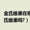 金氏維巢在哪買（金氏維巢怎么樣有人吃過金氏維巢嗎?）