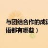 與團結合作的成語有哪些（關于團結合作的詞語、諺語和成語都有哪些）