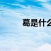 葛是什么意思（遞葛是什么意思）