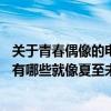 關于青春偶像的電視劇給我推薦50個（青春勵志偶像電視劇有哪些就像夏至未至那樣的）