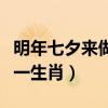 明年七夕來做客猜一生肖（明年七夕來做客猜一生肖）