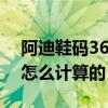 阿迪鞋碼36.2/3（阿迪達斯鞋碼36又2/3是怎么計算的）