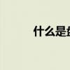 什么是盤龍水（什么是盤龍菜?）