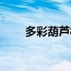 多彩葫蘆樹是真的假的（多彩葫蘆）
