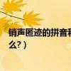 銷聲匿跡的拼音和意思是什么（銷聲匿跡的拼音和意思是什么?）
