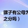 騾子有公母為什么不能生小騾子（騾子有公母之分嗎）