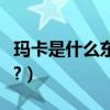 瑪卡是什么東西有什么作用（瑪卡是什么東西?）