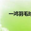 一鴻羽毛球記憶棒是什么（有什么用）