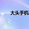大頭手機網（手機大頭的公司簡介）