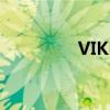 VIKKK19Pro的參數配置