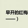 早開的紅梅歇后語（歇后語大全早開的紅梅——）
