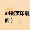 a4彩頁印刷尺寸（A4大小的印刷尺寸是多大的）