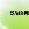 歇后語狗戴帽子（歇后語:狗扯羊皮）