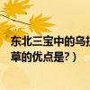 東北三寶中的烏拉草的優點是什么（“東北三寶”中的烏拉草的優點是?）