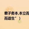 君子務本,本立而道生,本的意思（怎么理解“君子務本本立而道生”）