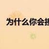 為什么你會擔心翻譯（為什么你會愛上他）