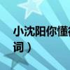 小沈陽你懂得mp3（小沈陽《你懂得》的歌詞）
