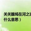 關關雎鳩在河之洲是什么意思啊（“關關雎鳩在河之洲”是什么意思）