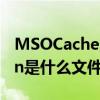 MSOCache,System（Volume Information是什么文件?）