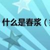 什么是春漿（如何區分春漿、秋漿和提取漿）