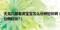 天龍八部老虎寶寶怎么分辨好壞啊(天龍八部老虎寶寶怎么分辨好壞?)