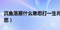 沉魚落雁什么意思打一生肖(沉魚落雁什么意思)