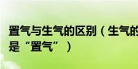 置氣與生氣的區別(生氣的意思是“致氣”還是“置氣”)