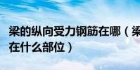 梁的縱向受力鋼筋在哪(梁板柱縱向受力鋼筋在什么部位)