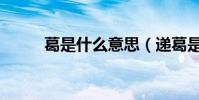 葛是什么意思(遞葛是什么意思)