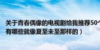 關于青春偶像的電視劇給我推薦50個(青春勵志偶像電視劇有哪些就像夏至未至那樣的)