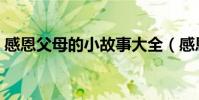 感恩父母的小故事大全(感恩父母的小故事)