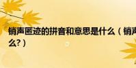 銷聲匿跡的拼音和意思是什么(銷聲匿跡的拼音和意思是什么?)