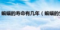 蝙蝠的壽命有幾年(蝙蝠的生命周期是多久)