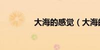 大海的感覺(大海的感覺)