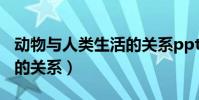 動物與人類生活的關系ppt(動物與人類生活的關系)