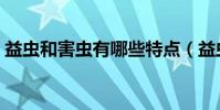 益蟲和害蟲有哪些特點(益蟲和害蟲有哪些)