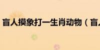 盲人摸象打一生肖動物(盲人摸象打一生肖)