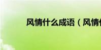 風情什么成語(風情什么意思)