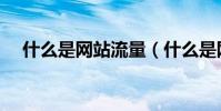 什么是網站流量(什么是網站流量交換)