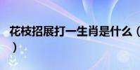 花枝招展打一生肖是什么(花枝招展打一生肖)
