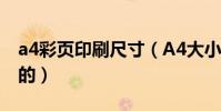 a4彩頁印刷尺寸(A4大小的印刷尺寸是多大的)